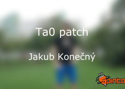 Ta0’s black belt patch video application by J. Konečný