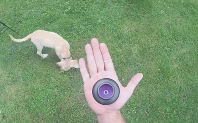 How to balance a spin top on your hand by Dylan K.