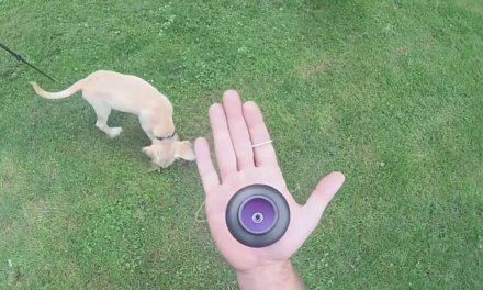 How to balance a spin top on your hand by Dylan K.